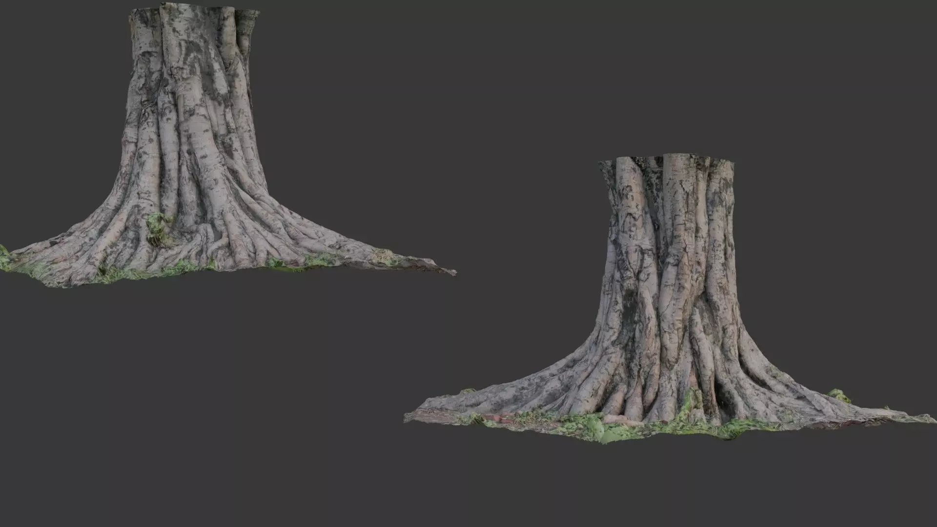 Massive Tree Trunk - 3D Scanned Model Low-poly 3D model