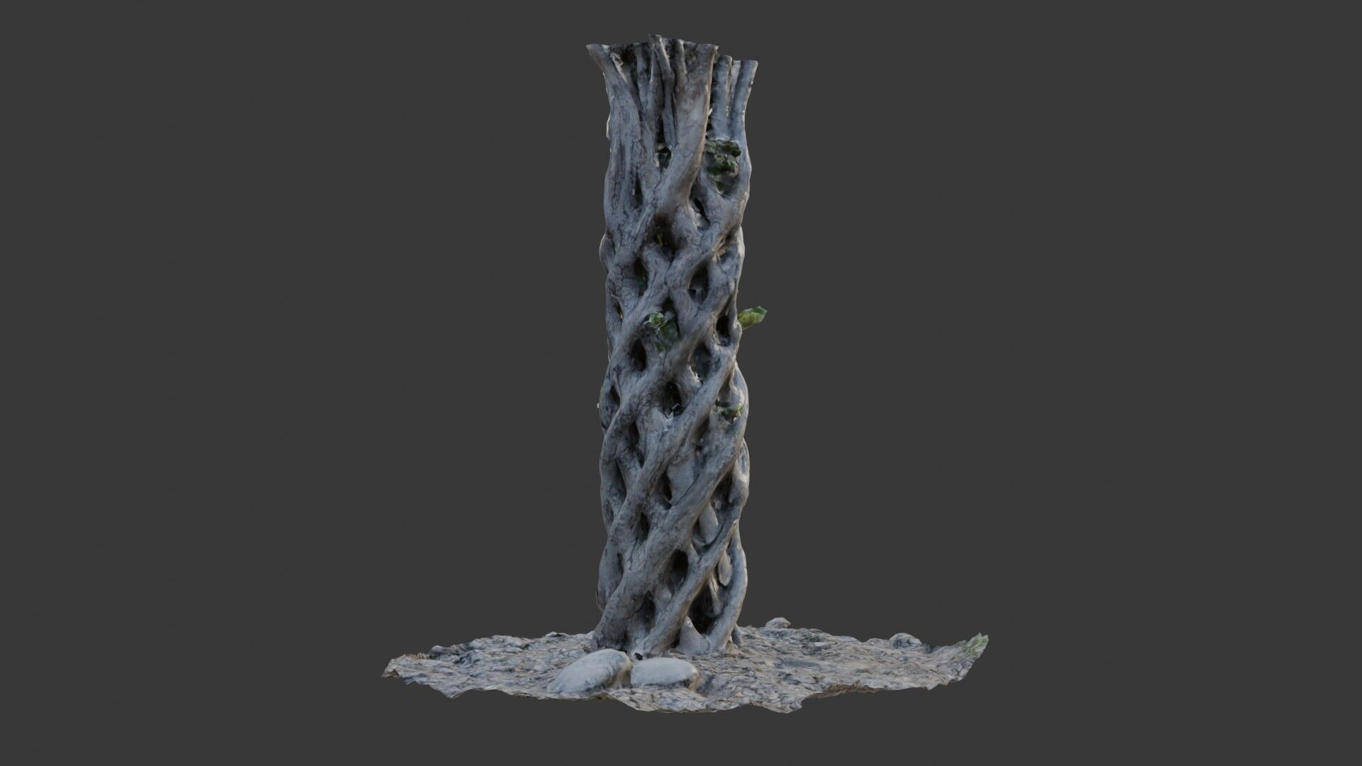 Twisted Hollow Tree Trunk  3D Scanned Model Low-poly 3D model_4