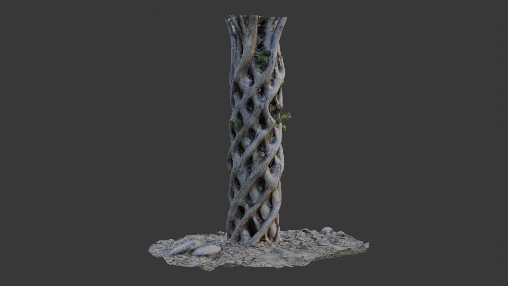 Twisted Hollow Tree Trunk  3D Scanned Model Low-poly 3D model_3