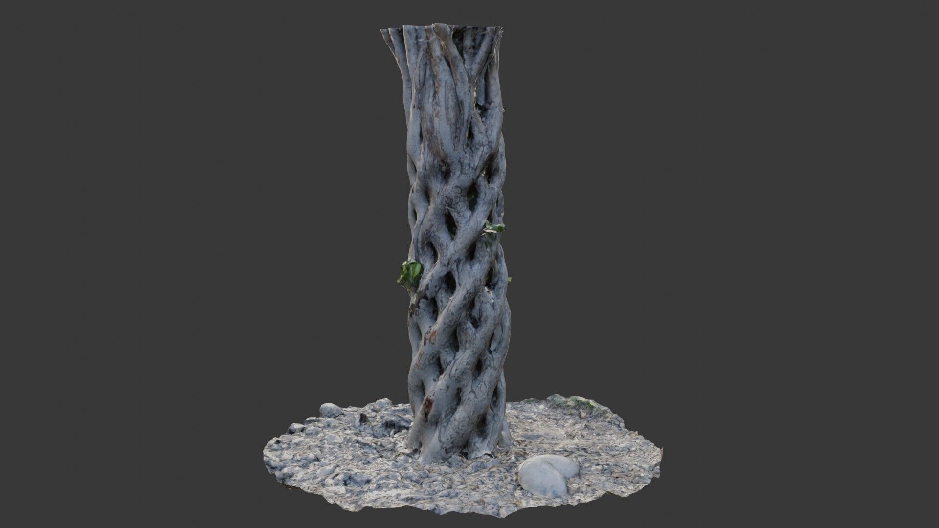 Twisted Hollow Tree Trunk  3D Scanned Model Low-poly 3D model_6