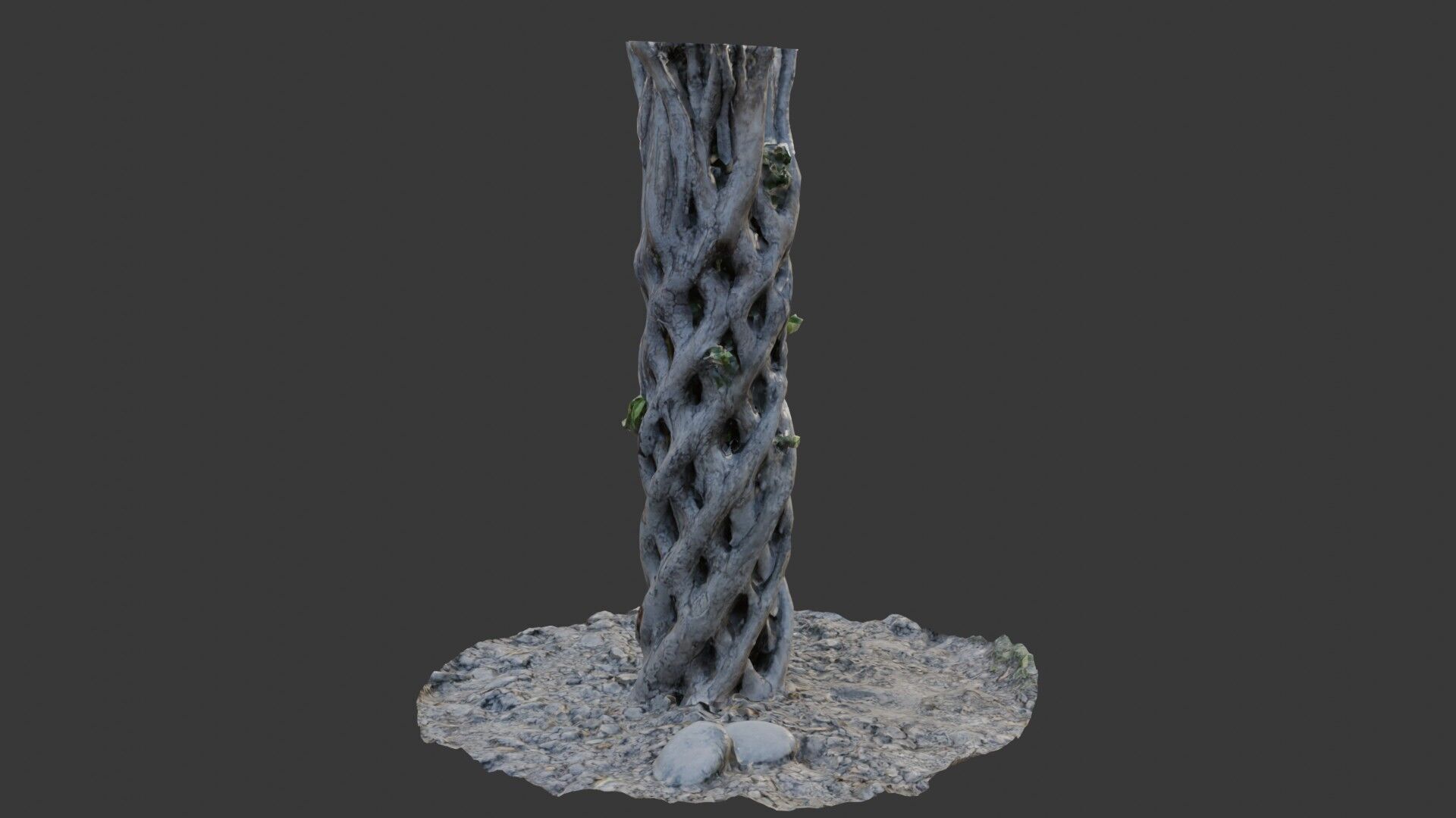 Twisted Hollow Tree Trunk  3D Scanned Model Low-poly 3D model_5