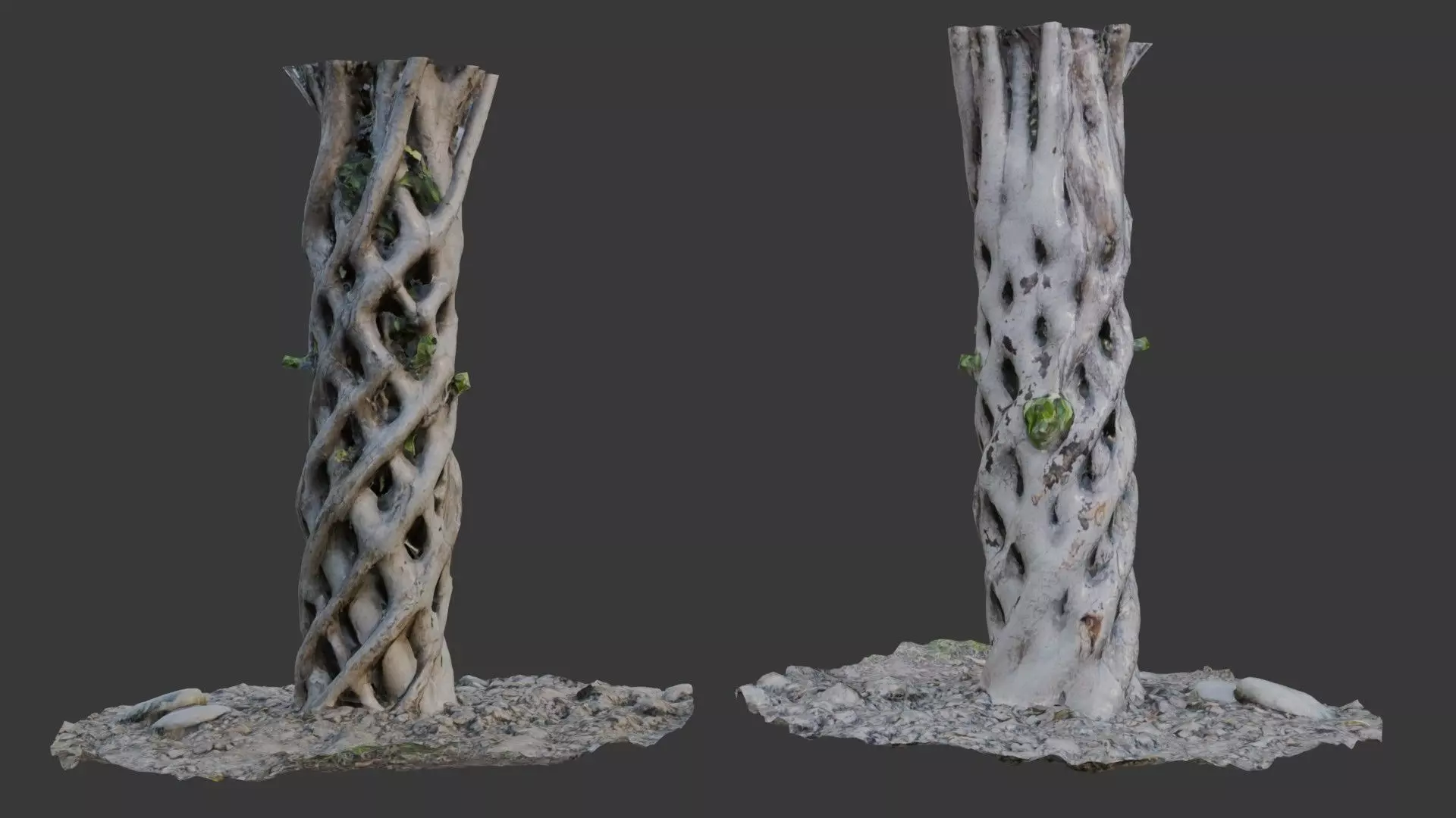 Twisted Hollow Tree Trunk  3D Scanned Model Low-poly 3D model_0
