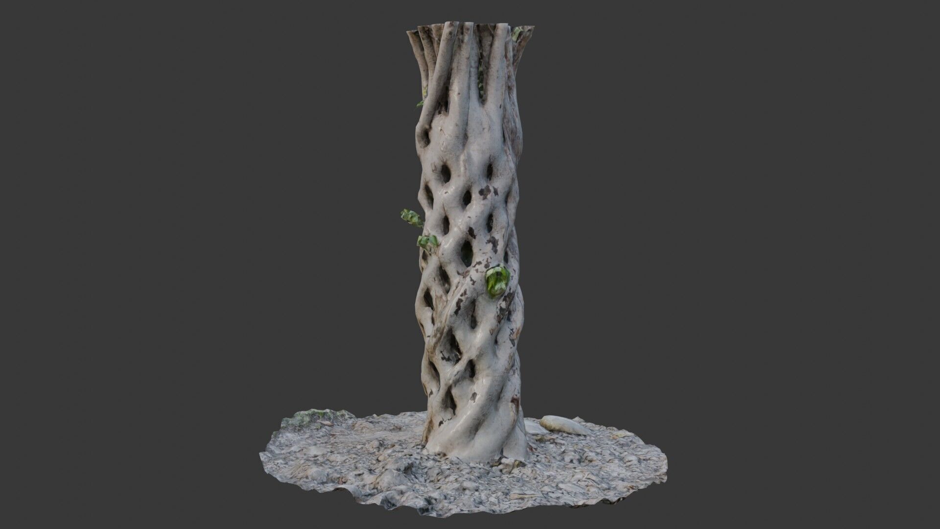 Twisted Hollow Tree Trunk  3D Scanned Model Low-poly 3D model_7