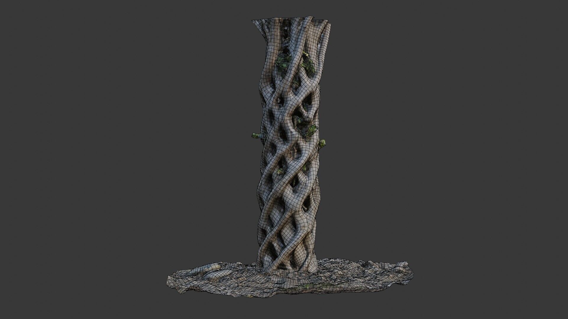 Twisted Hollow Tree Trunk  3D Scanned Model Low-poly 3D model_2