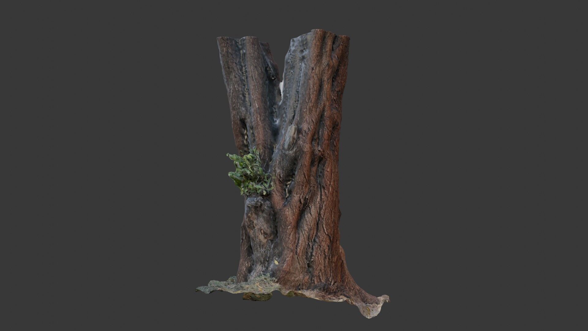 Old Tree Trunk with Moss and Vines  3D Scanned Model Low-poly 3D model_7