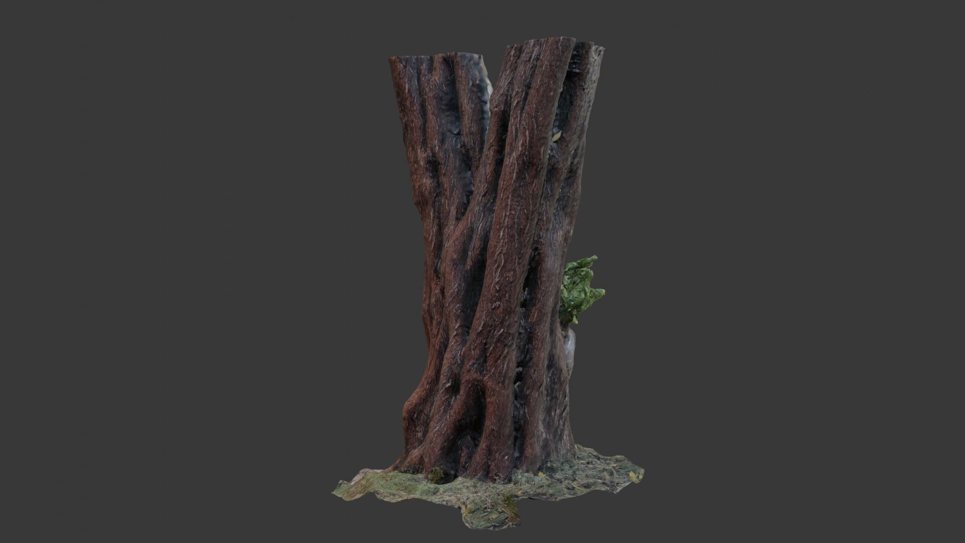 Old Tree Trunk with Moss and Vines  3D Scanned Model Low-poly 3D model_4