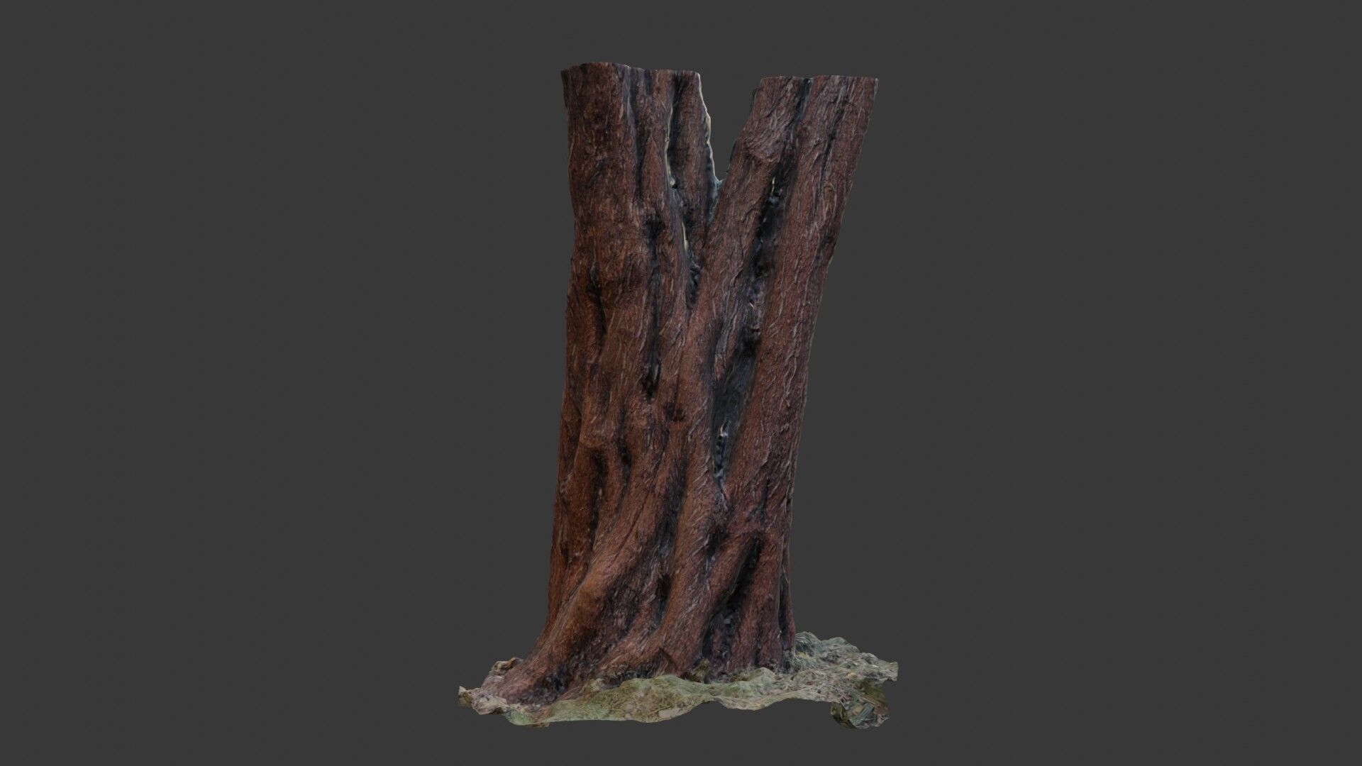 Old Tree Trunk with Moss and Vines  3D Scanned Model Low-poly 3D model_5