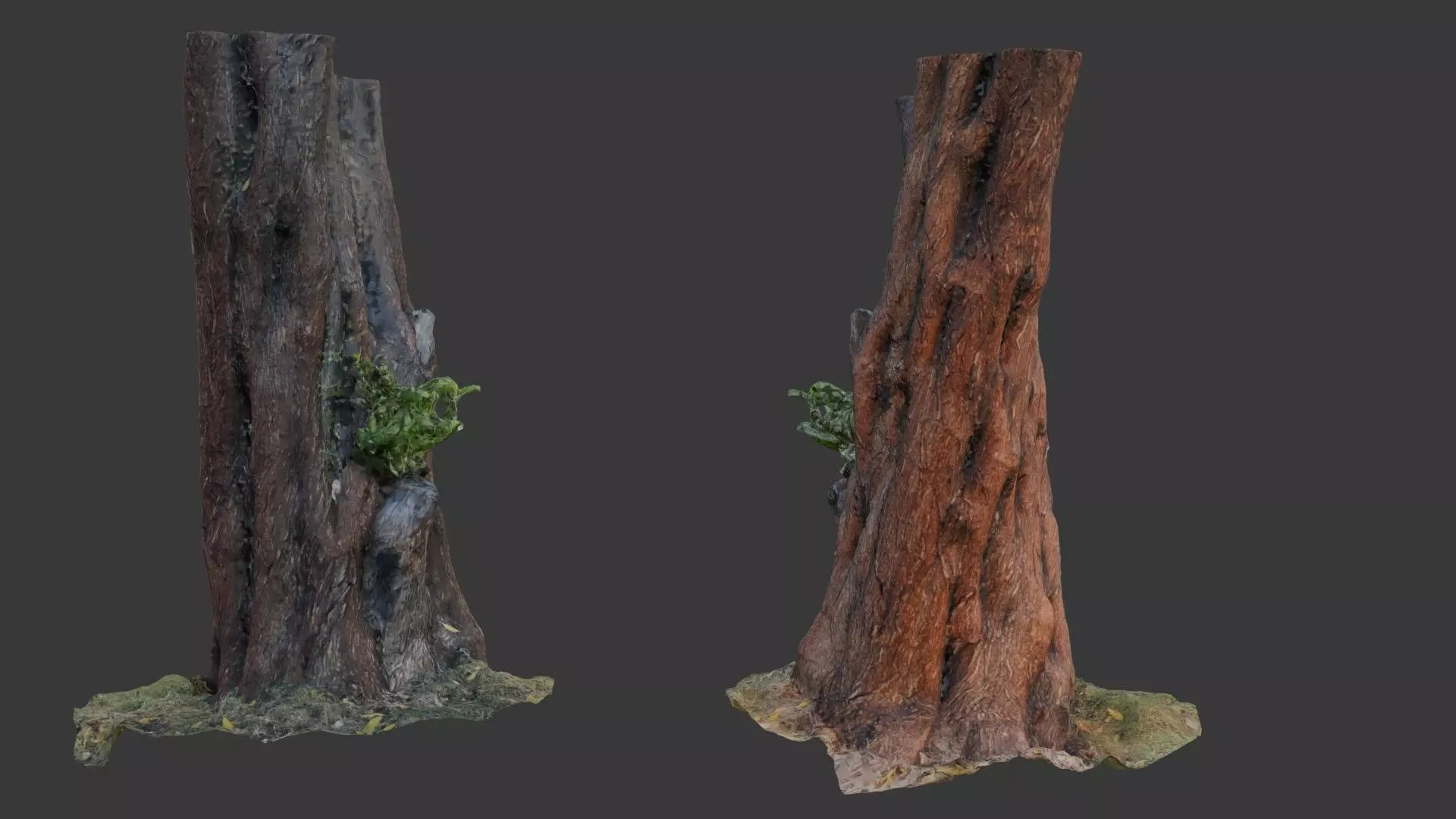 Old Tree Trunk with Moss and Vines  3D Scanned Model Low-poly 3D model_0