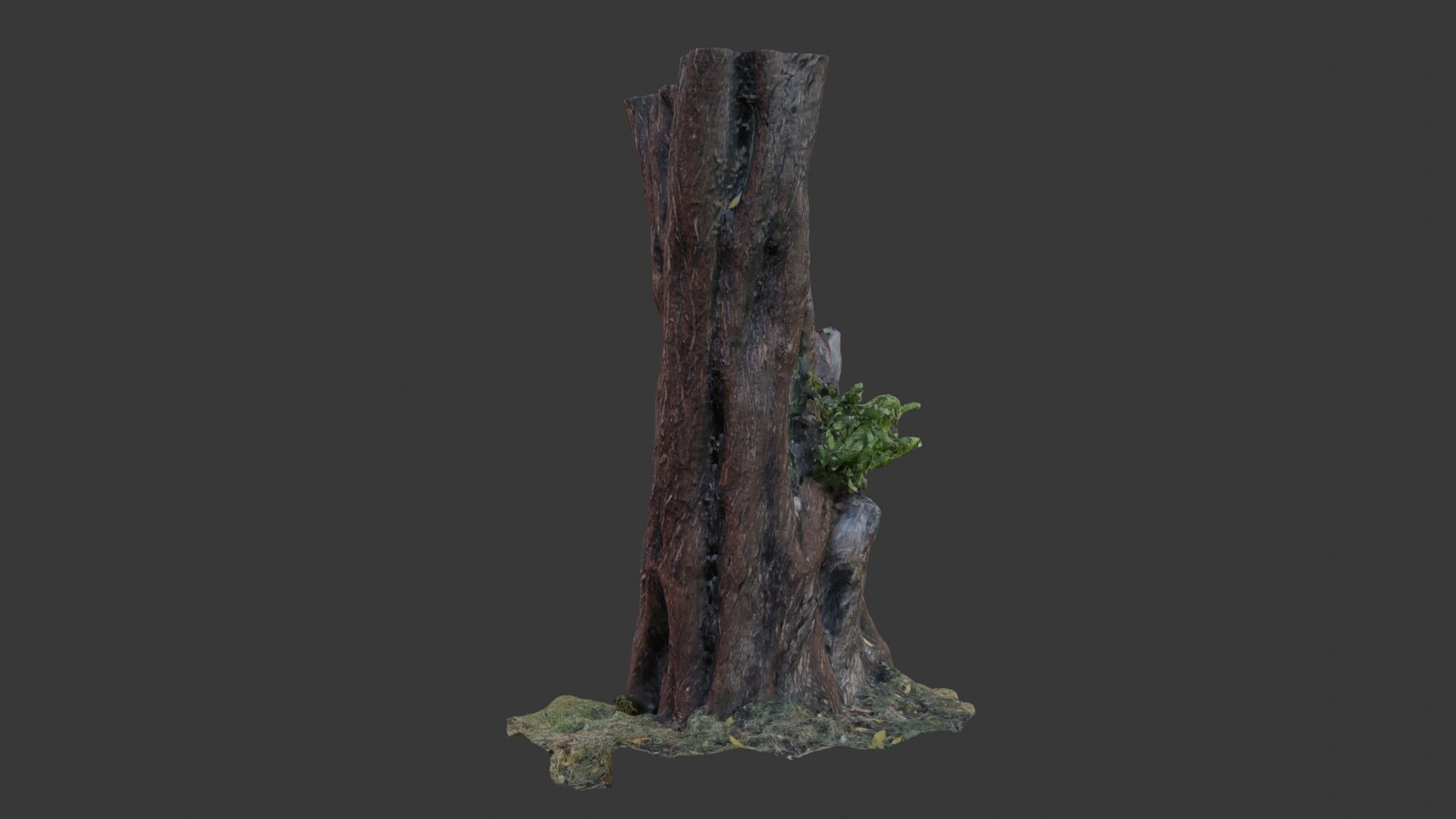 Old Tree Trunk with Moss and Vines  3D Scanned Model Low-poly 3D model_3