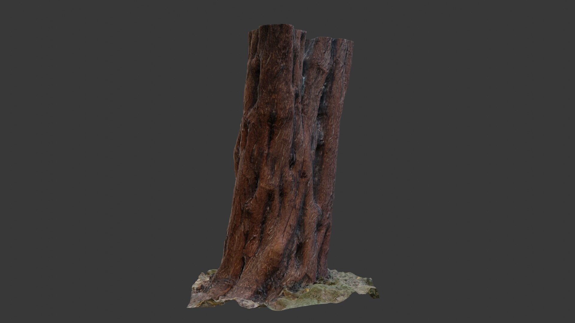 Old Tree Trunk with Moss and Vines  3D Scanned Model Low-poly 3D model_6