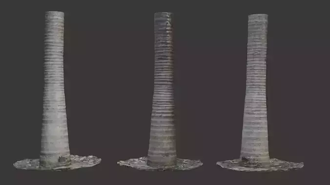Palm Tree Trunk 3D Scanned Model Low-poly 3D model