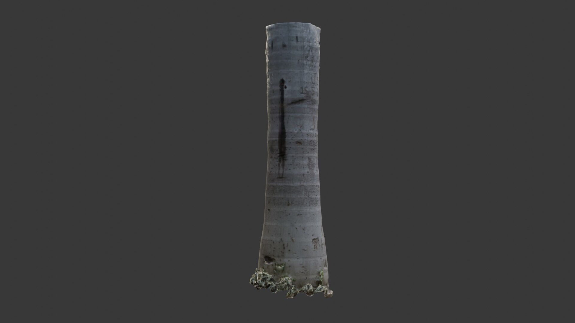 Graffiti Palm Tree Trunk 3D Scanned Model Low-poly 3D model_6
