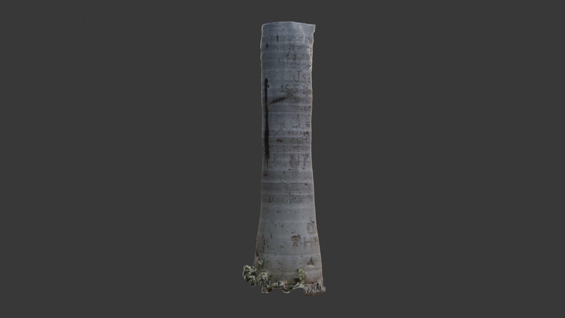 Graffiti Palm Tree Trunk 3D Scanned Model Low-poly 3D model_5