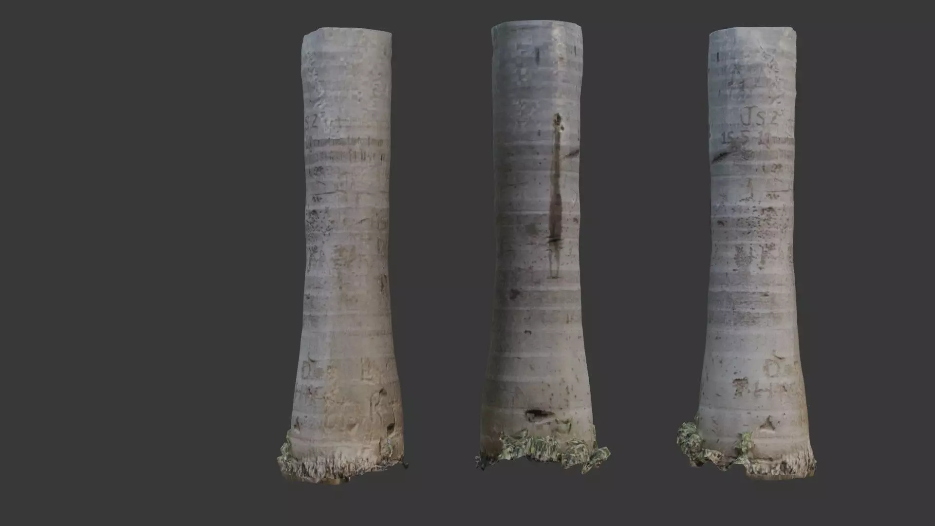 Graffiti Palm Tree Trunk 3D Scanned Model Low-poly 3D model_0