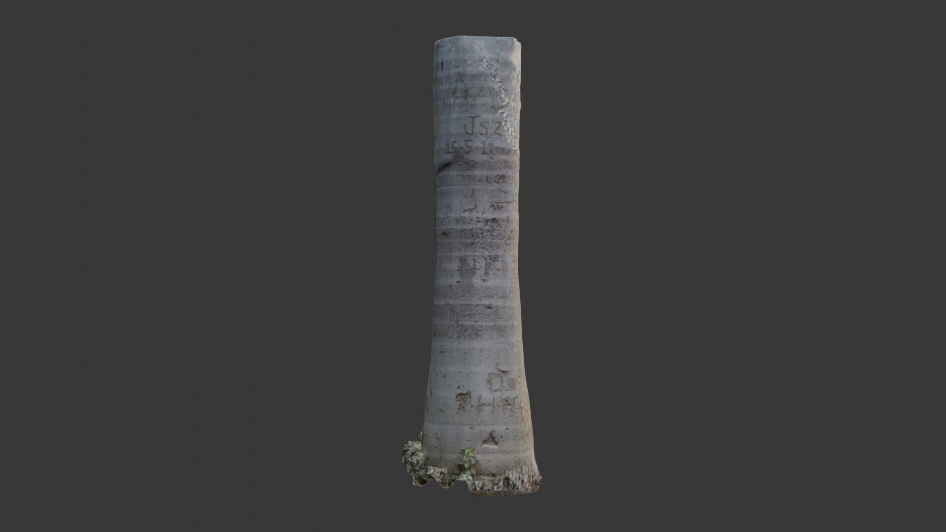 Graffiti Palm Tree Trunk 3D Scanned Model Low-poly 3D model_4