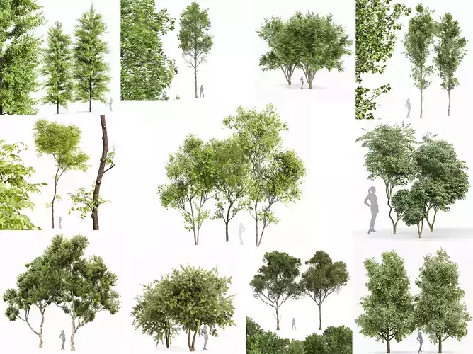 AV 12  Different SETS Spring Trees 3D Model Collection  