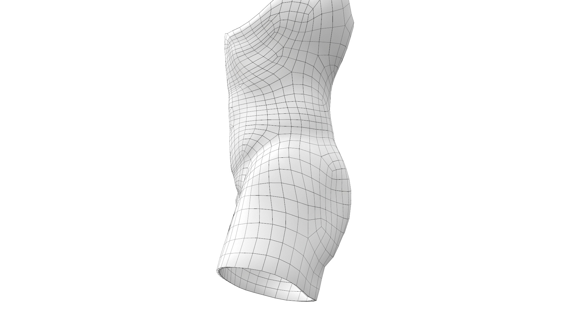 Urinary System Section Low-poly 3D model_6