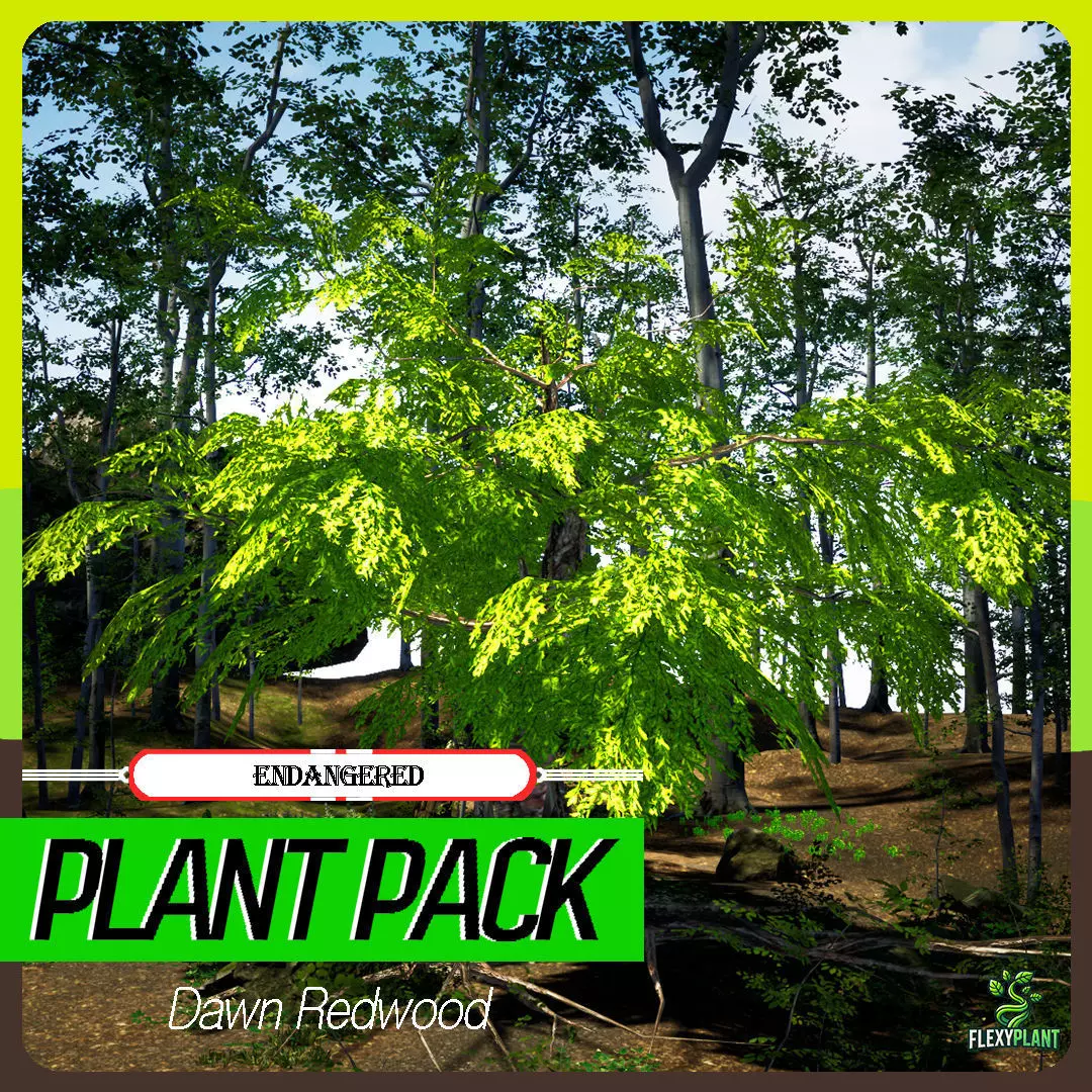 Endangered Plant - 6 Dawn Redwood Conifer Tree Low-poly 3D model_0