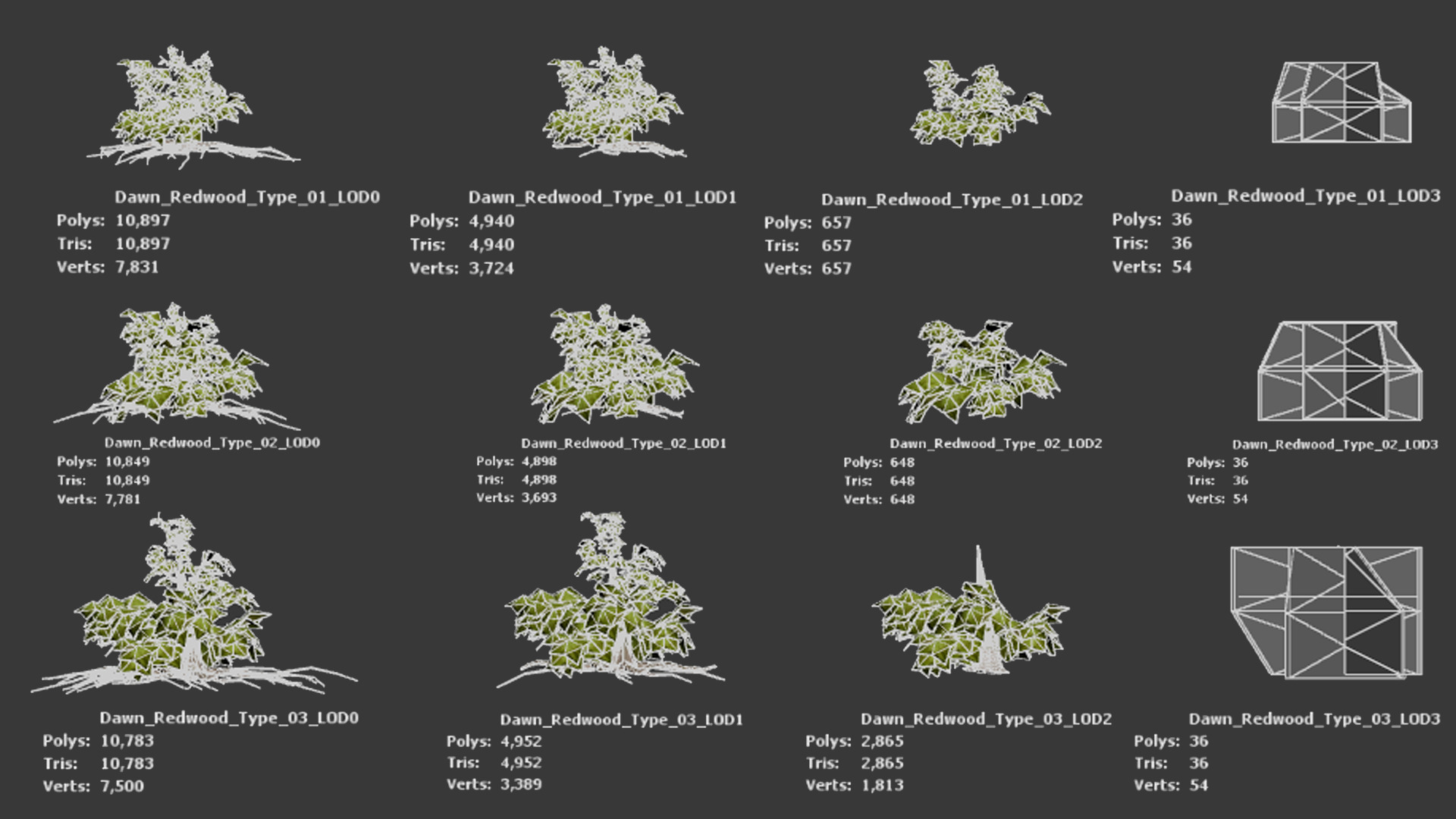 Endangered Plant - 6 Dawn Redwood Conifer Tree Low-poly 3D model_10