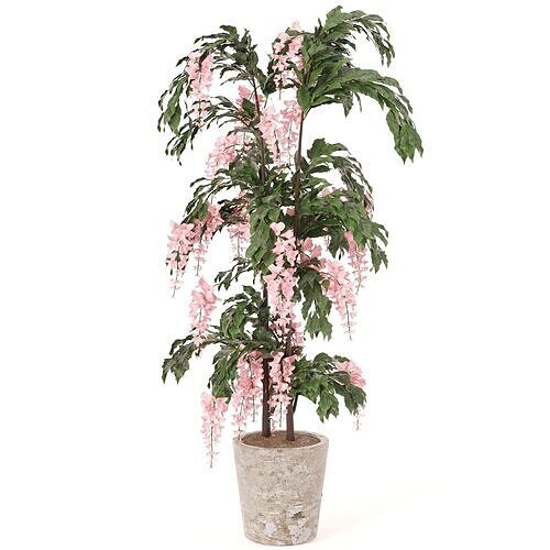 Elegant Cascading Pink Blossom tree 3D model
