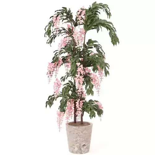 Elegant Cascading Pink Blossom tree