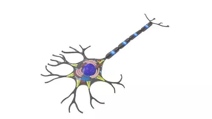 Neuron
