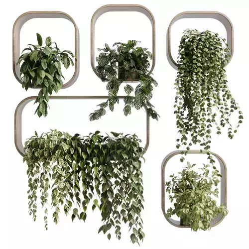 wall plant  set Indoor plant 603 plants on shelf in handmade 3D model