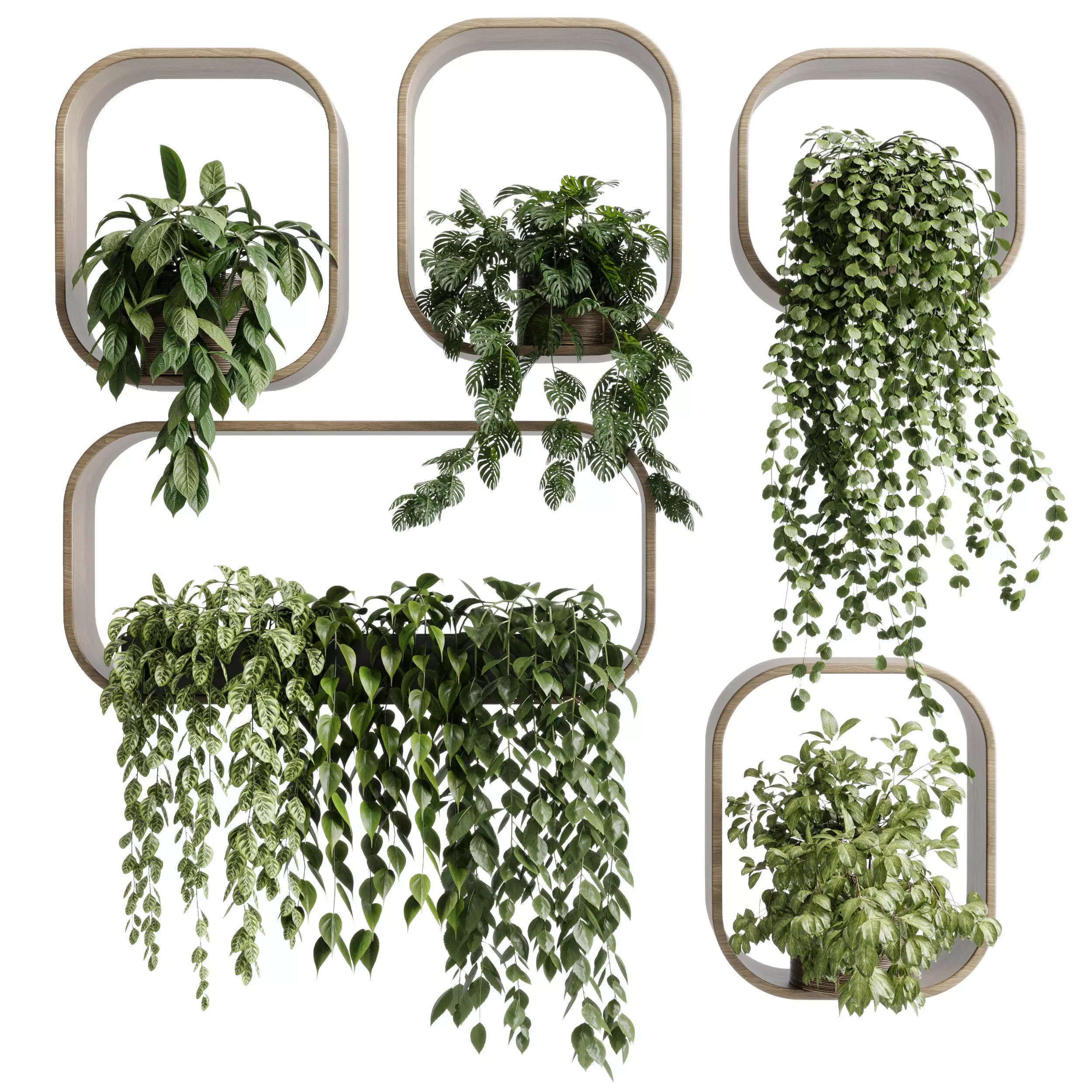 wall plant  set Indoor plant 603 plants on shelf in handmade 3D model_0