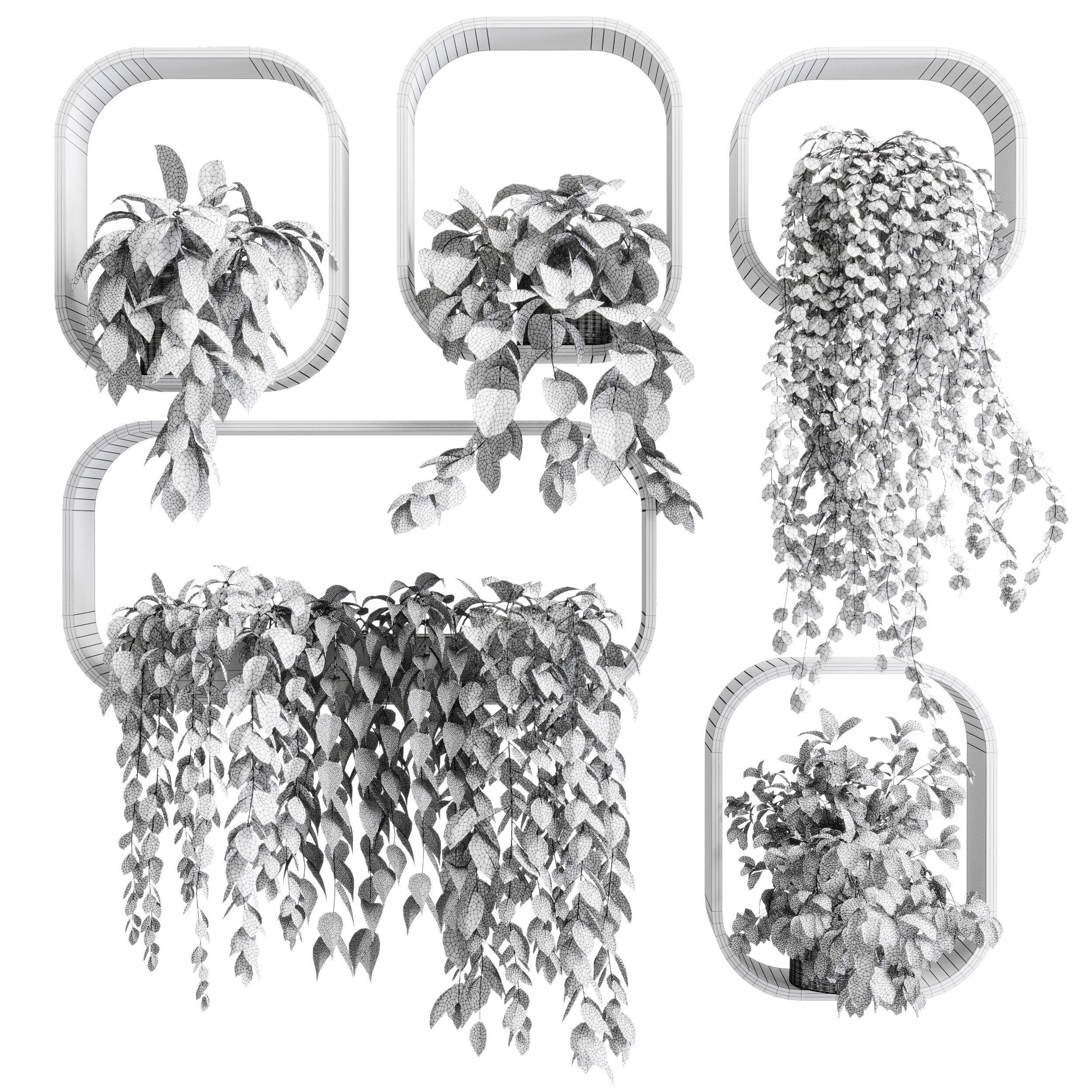 wall plant  set Indoor plant 603 plants on shelf in handmade 3D model_6