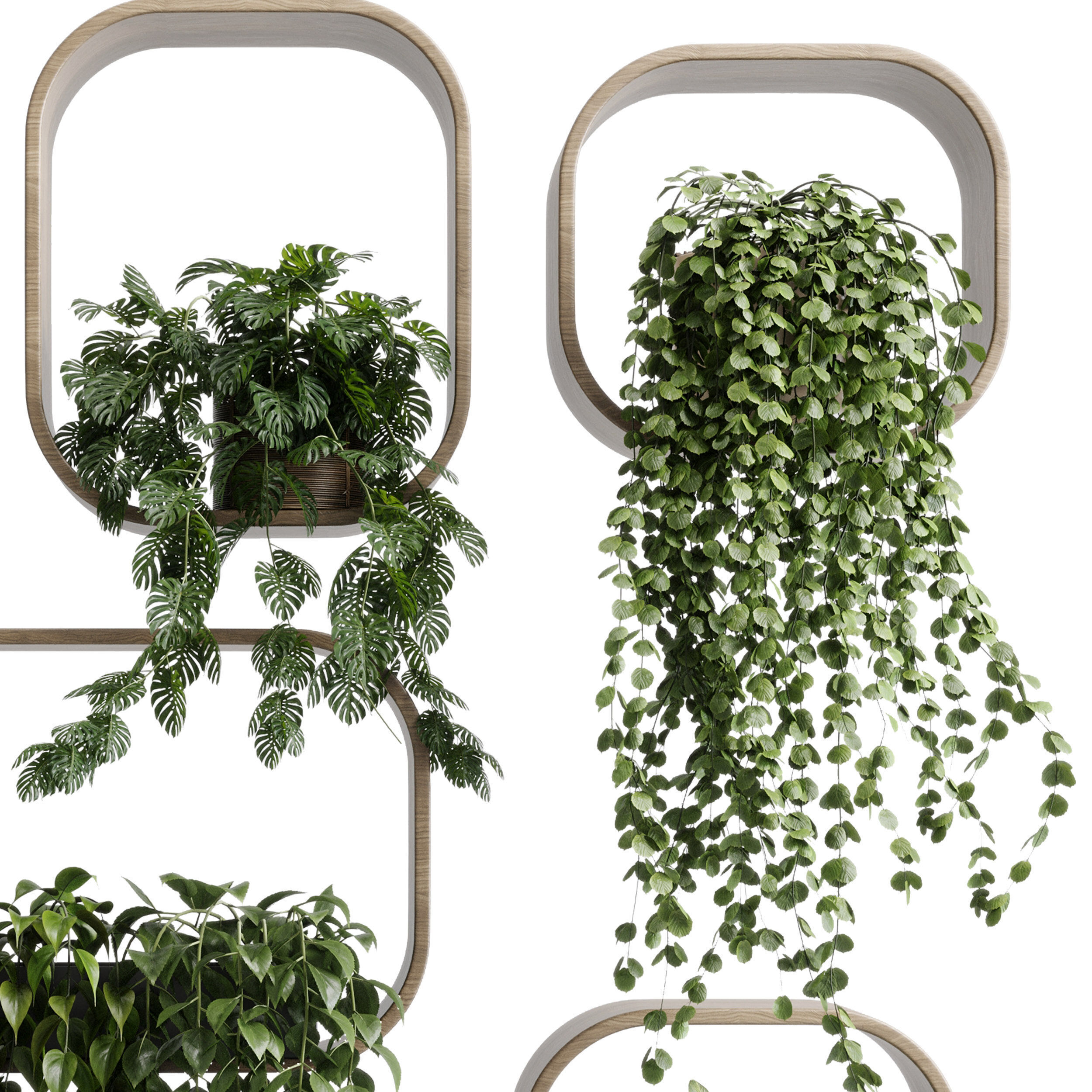 wall plant  set Indoor plant 603 plants on shelf in handmade 3D model_4