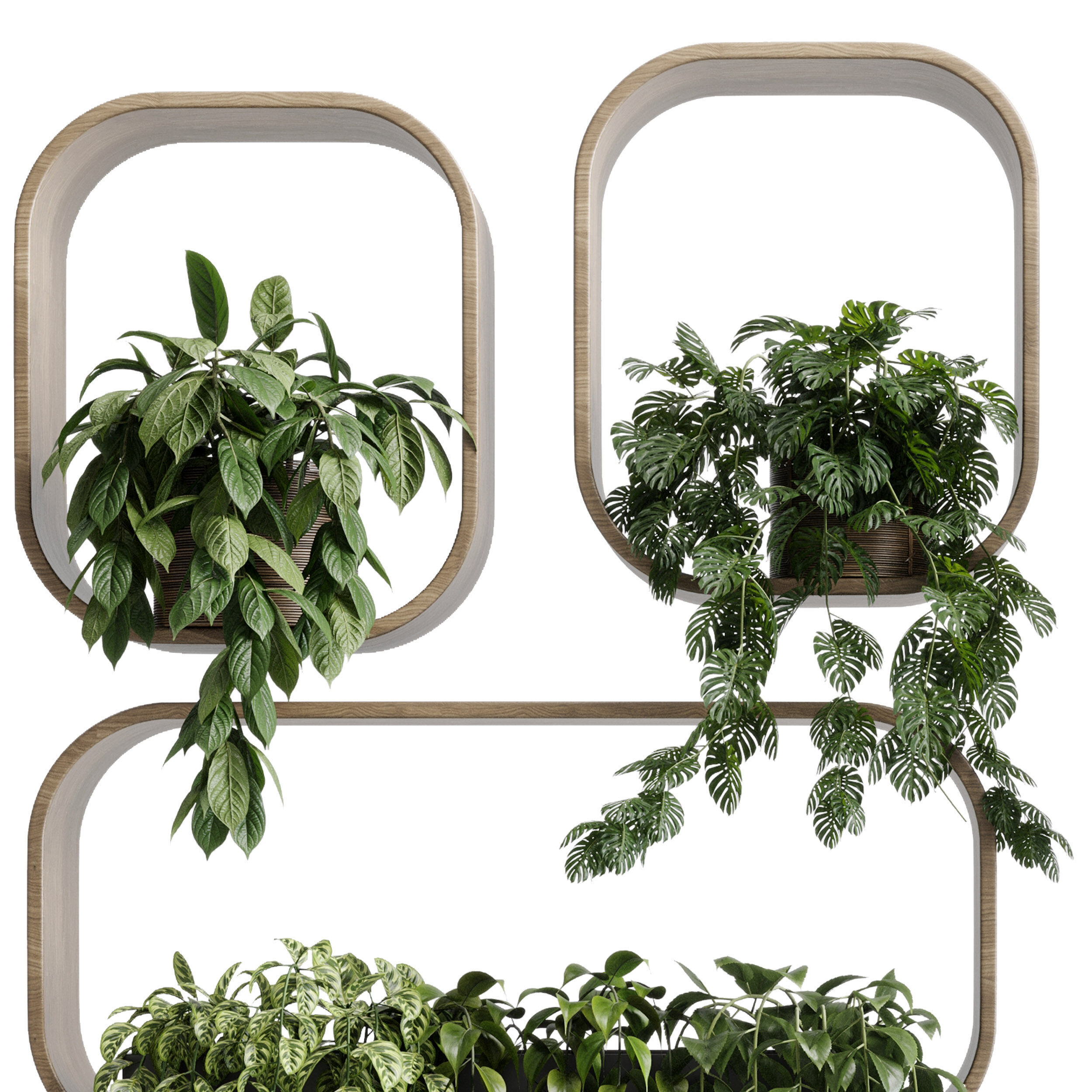 wall plant  set Indoor plant 603 plants on shelf in handmade 3D model_3