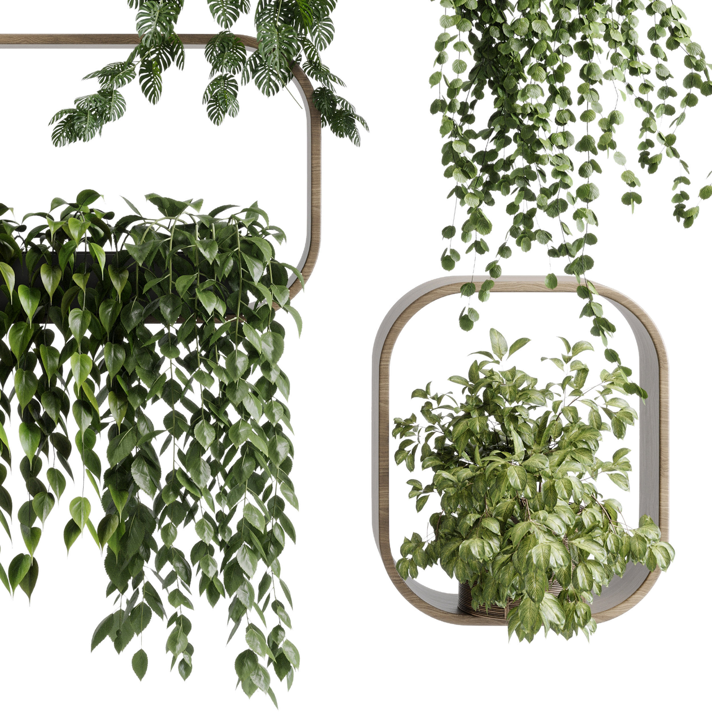 wall plant  set Indoor plant 603 plants on shelf in handmade 3D model_5