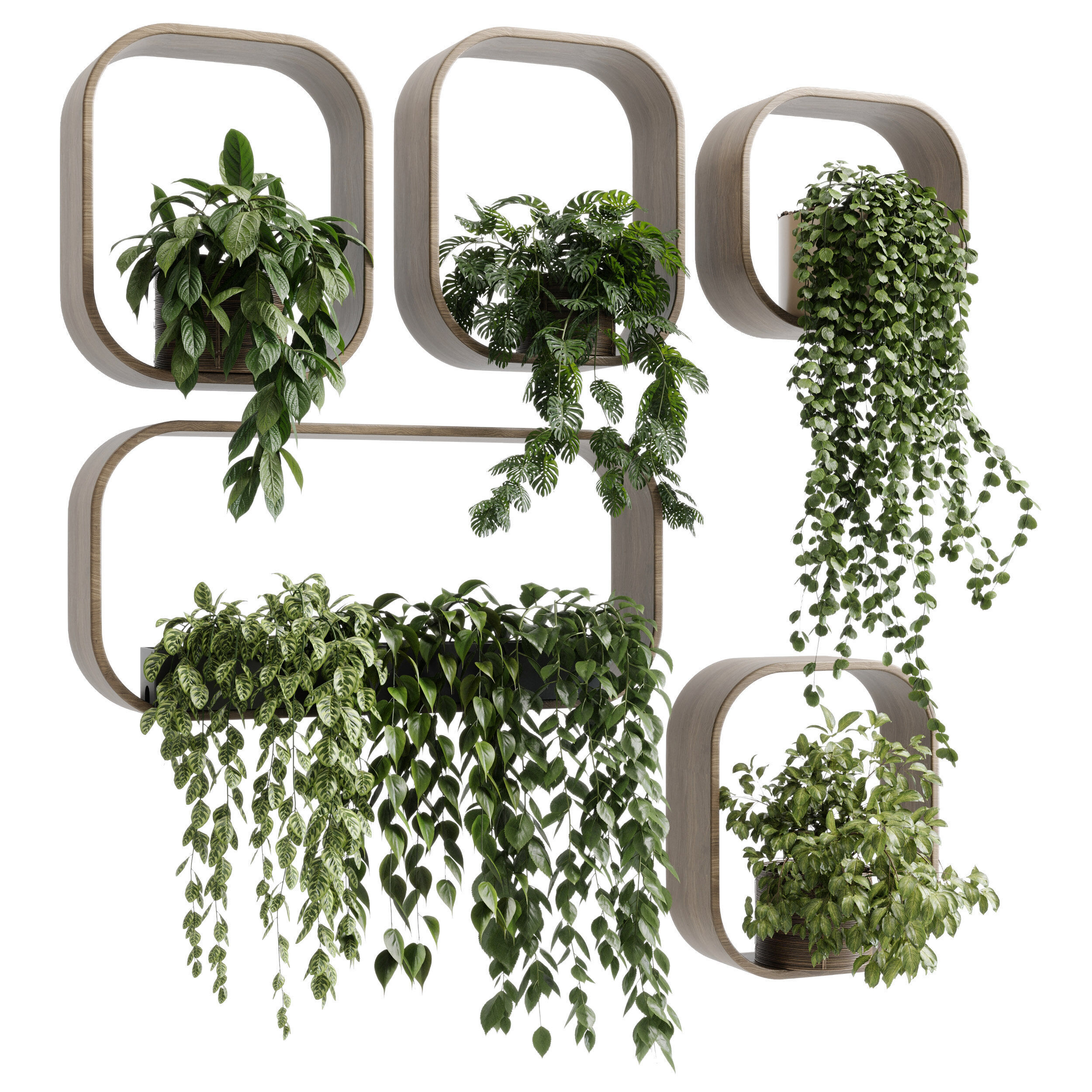 wall plant  set Indoor plant 603 plants on shelf in handmade 3D model_7
