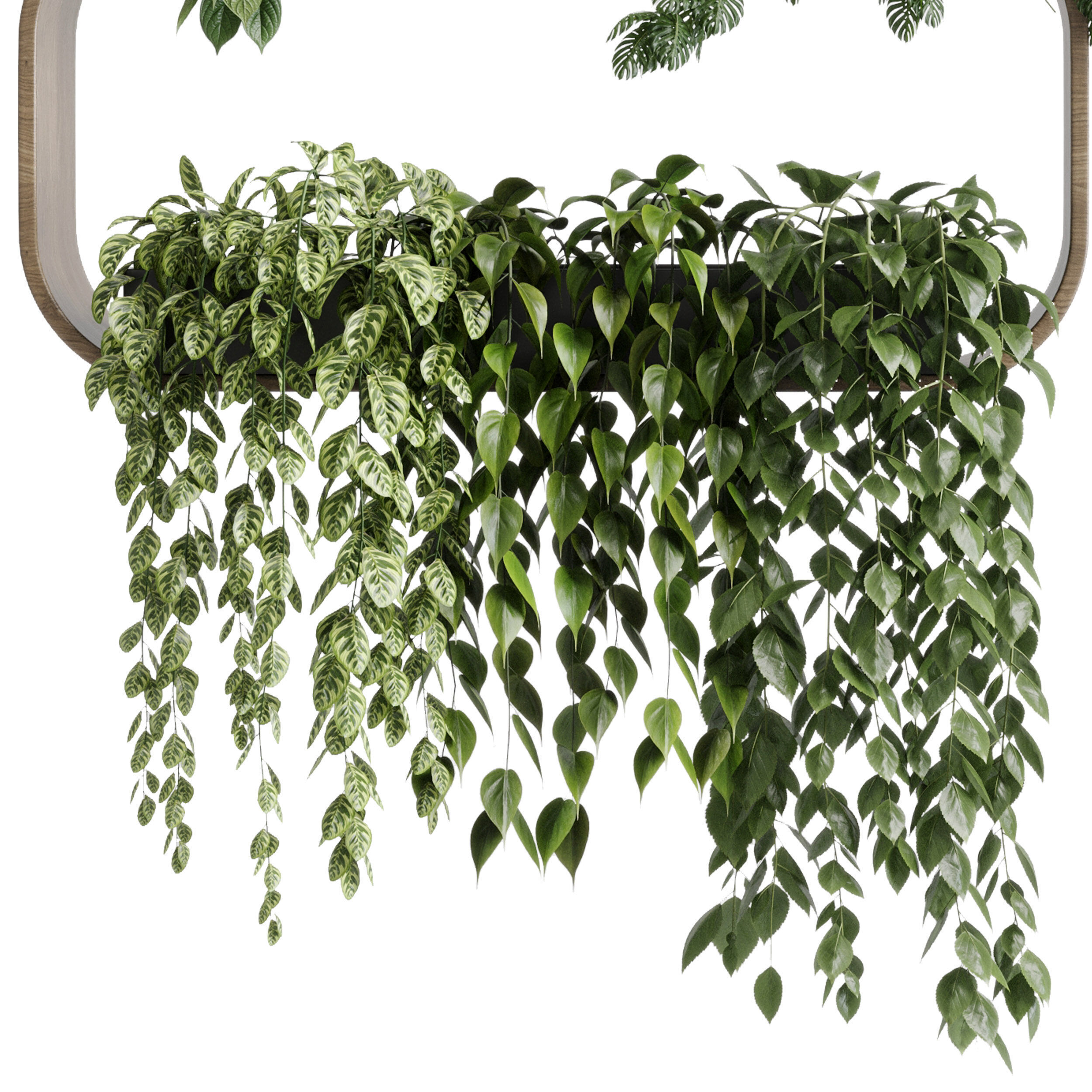 wall plant  set Indoor plant 603 plants on shelf in handmade 3D model_2