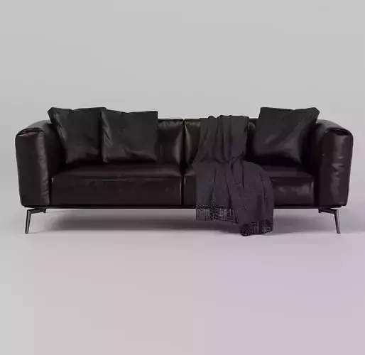 Couch leather by Horizon Alivar