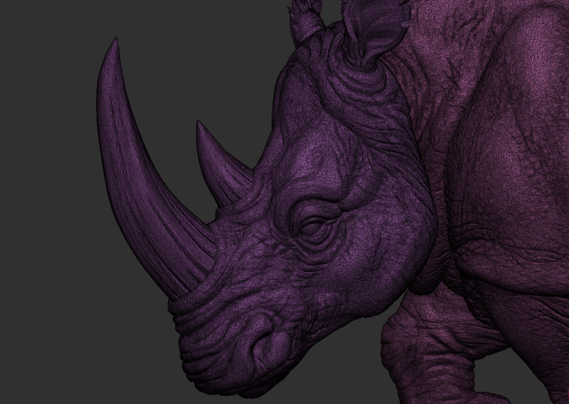 Rhinoceroses Three poses 3D print model_17
