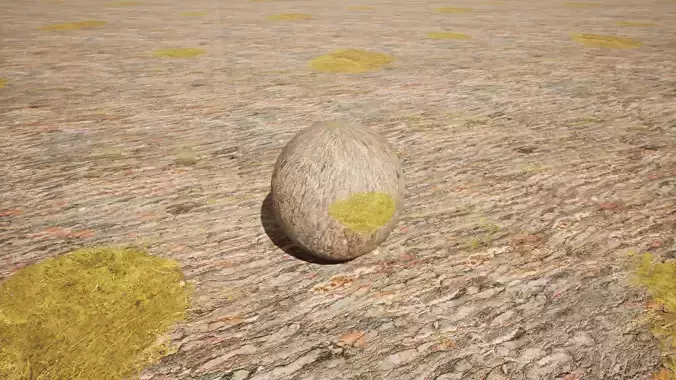 Bark Materials Texture