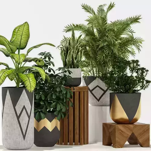 plant potted green Modern combination
