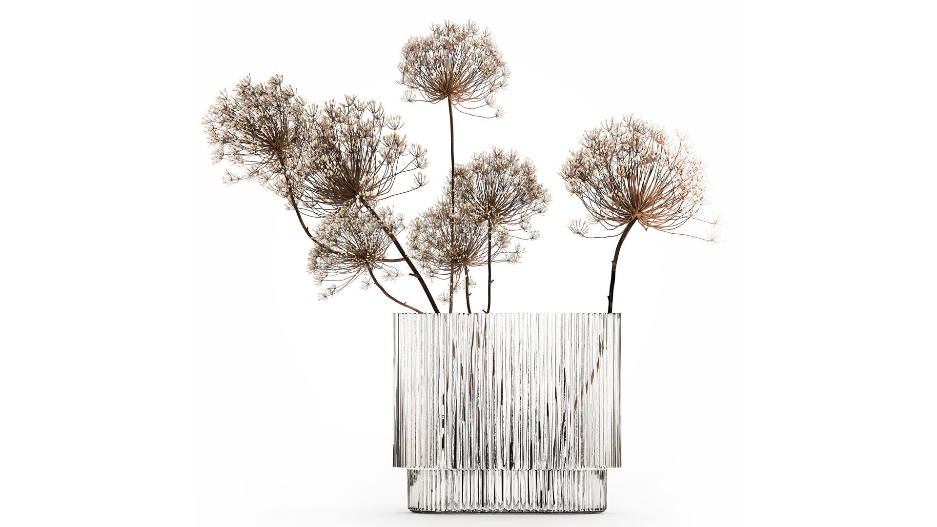 Dried Flowers Vase Dry Branches Heracleum Hogweed 501 3D model_1