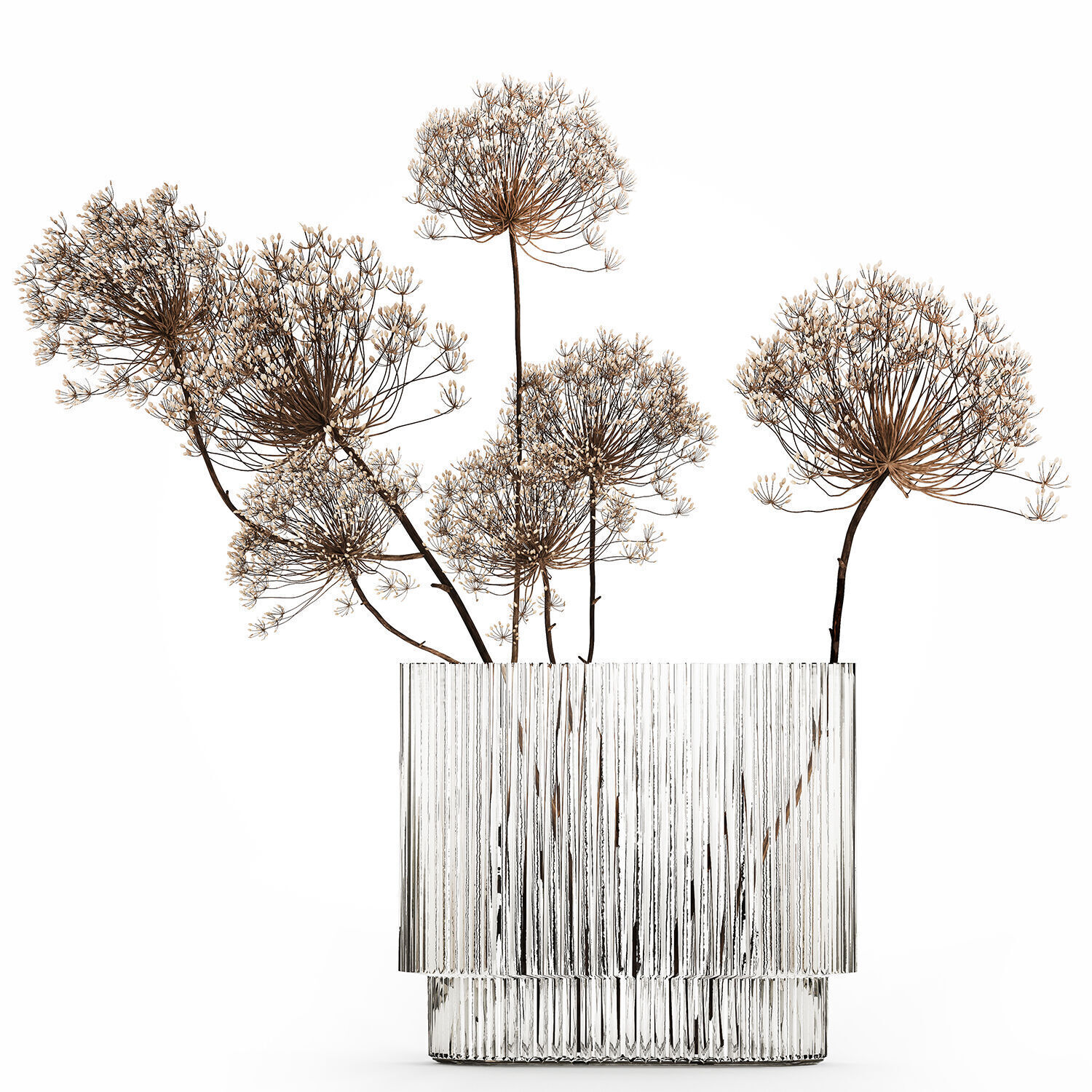 Dried Flowers Vase Dry Branches Heracleum Hogweed 501 3D model_7