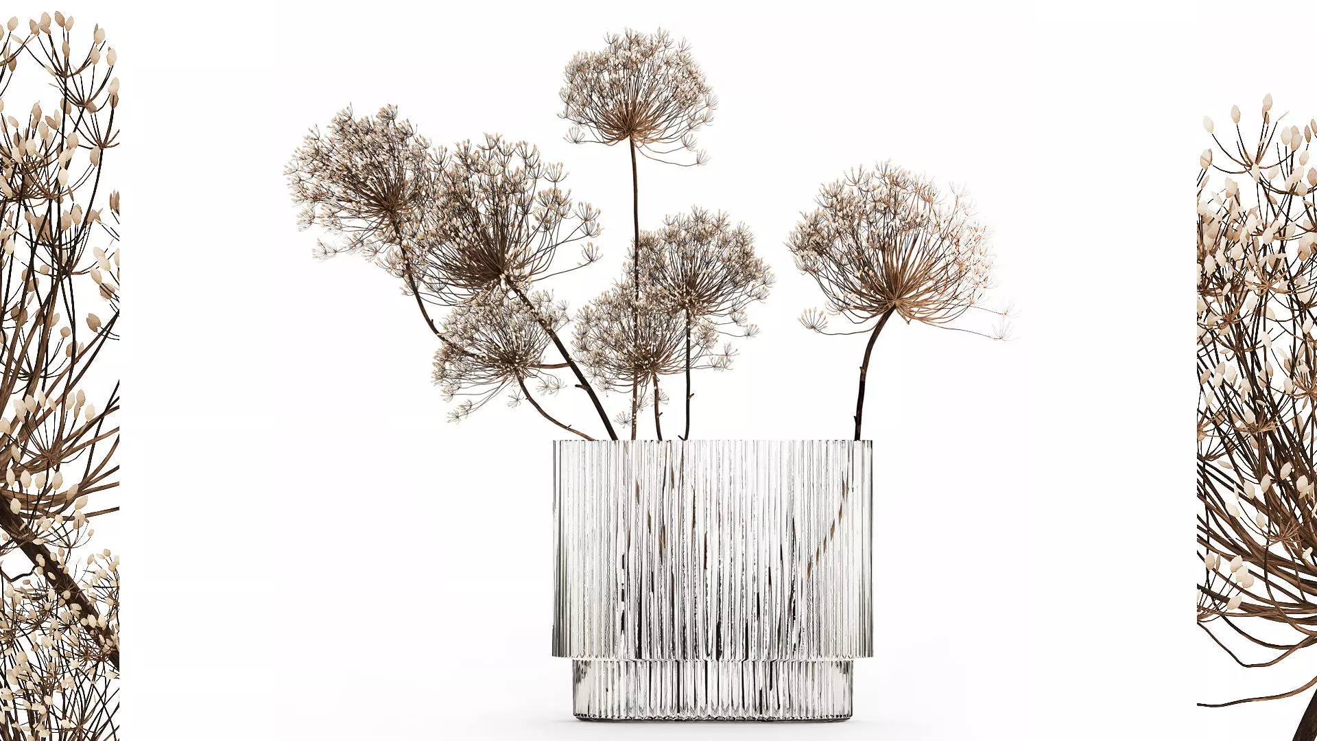 Dried Flowers Vase Dry Branches Heracleum Hogweed 501 3D model_0