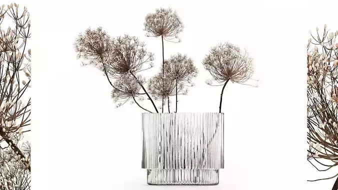 Dried Flowers Vase Dry Branches Heracleum Hogweed 501 3D model