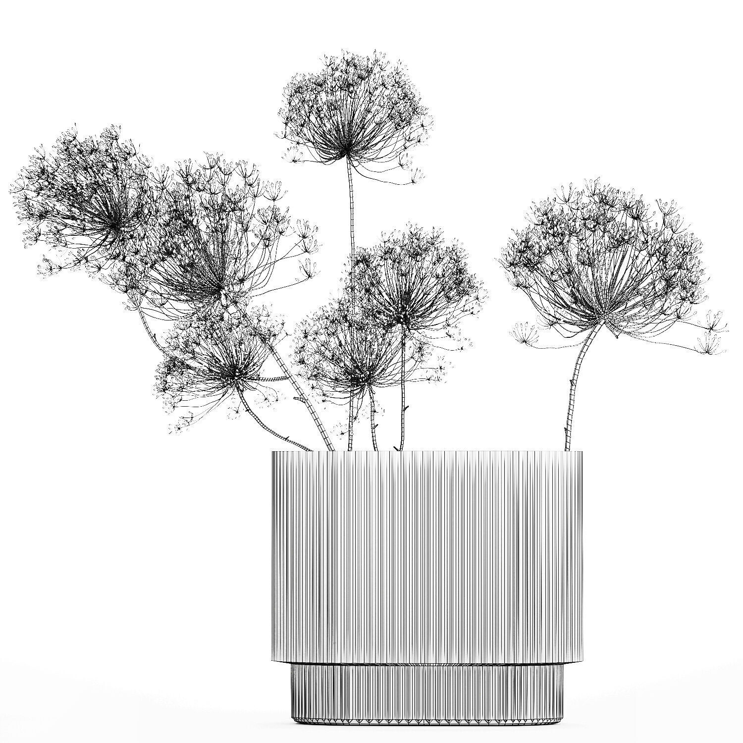 Dried Flowers Vase Dry Branches Heracleum Hogweed 501 3D model_12
