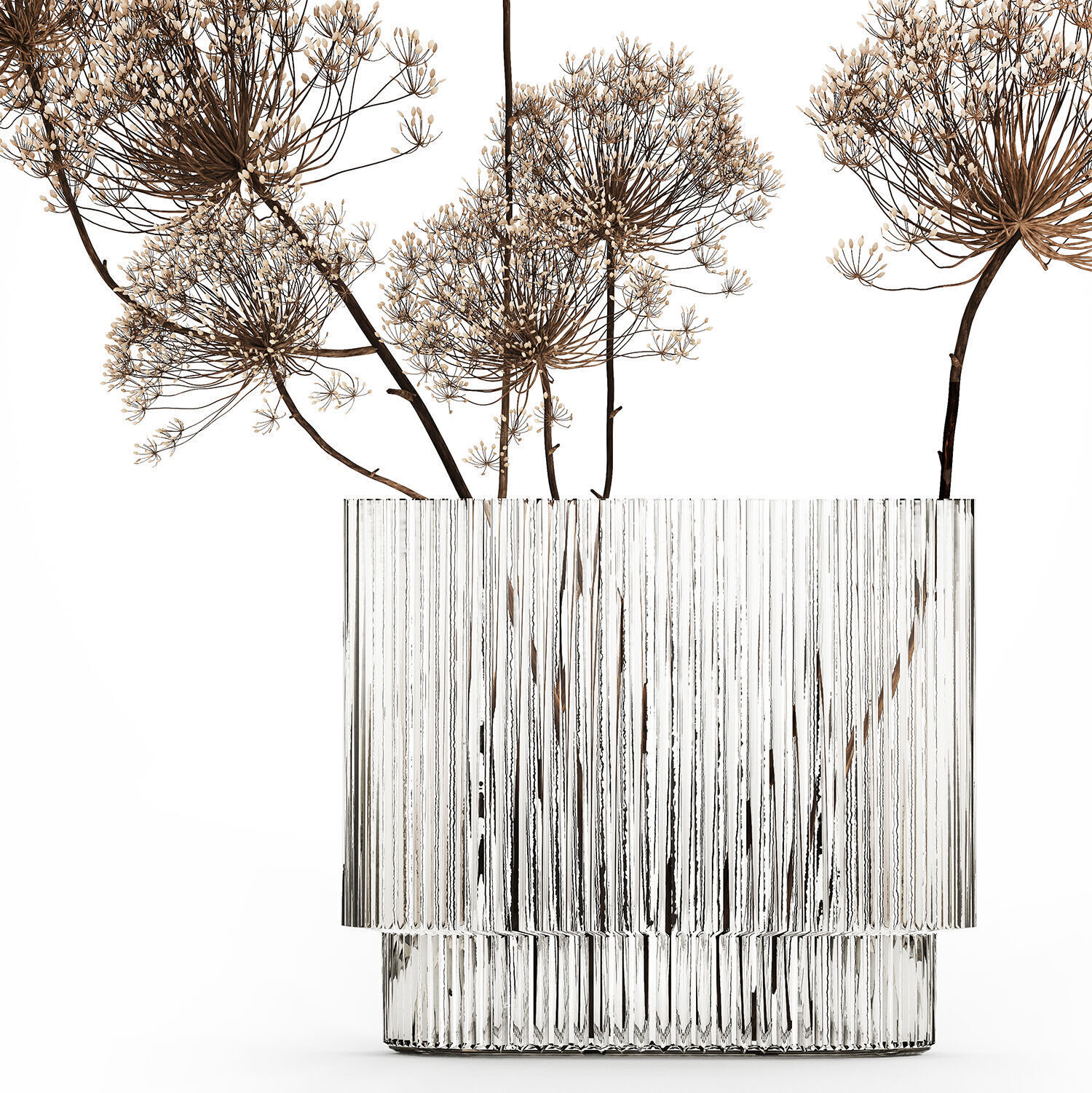 Dried Flowers Vase Dry Branches Heracleum Hogweed 501 3D model_10