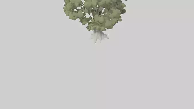 Desert Willow tree model Low-poly 3D model 4