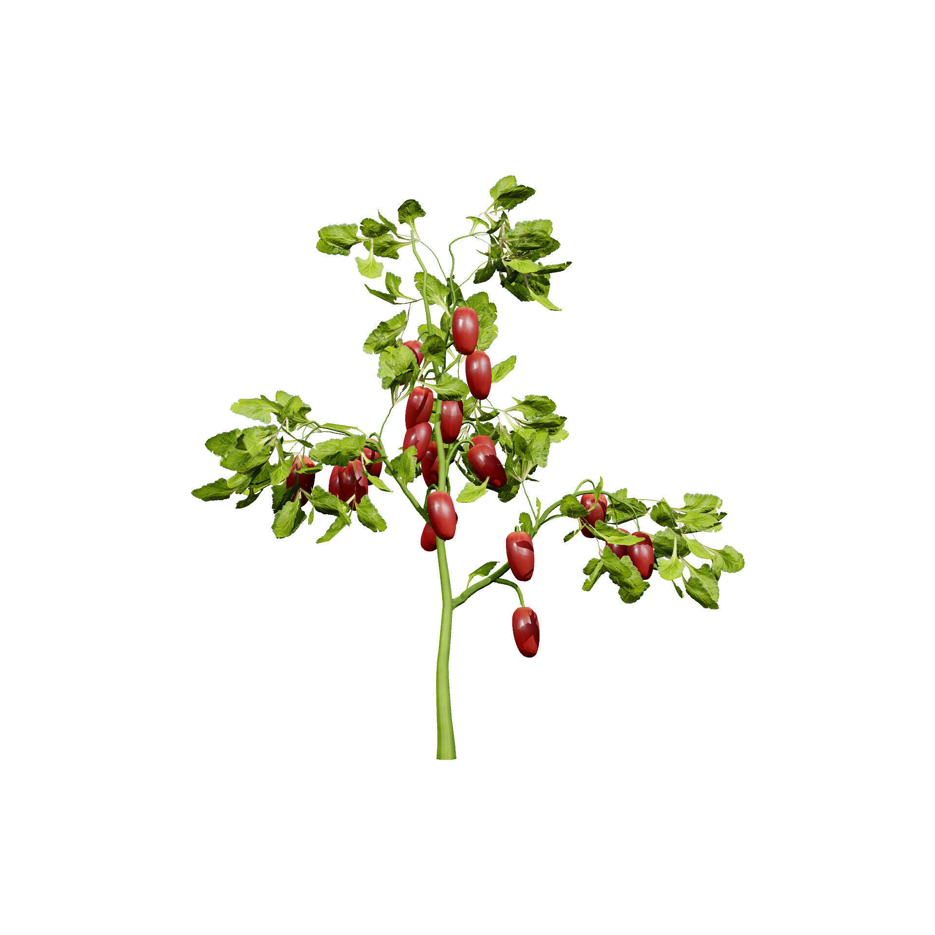 Vegetable Plant 3D Pack Low-poly 3D model_44