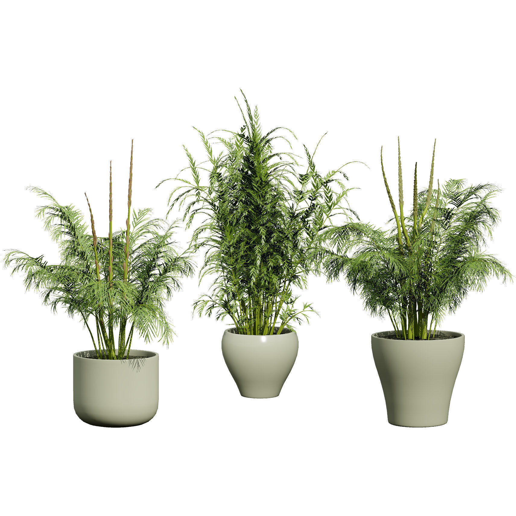 Vegetable Plant 3D Pack Low-poly 3D model_46