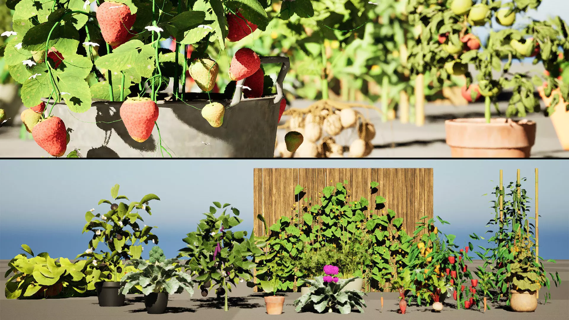 Vegetable Plant 3D Pack Low-poly 3D model_0