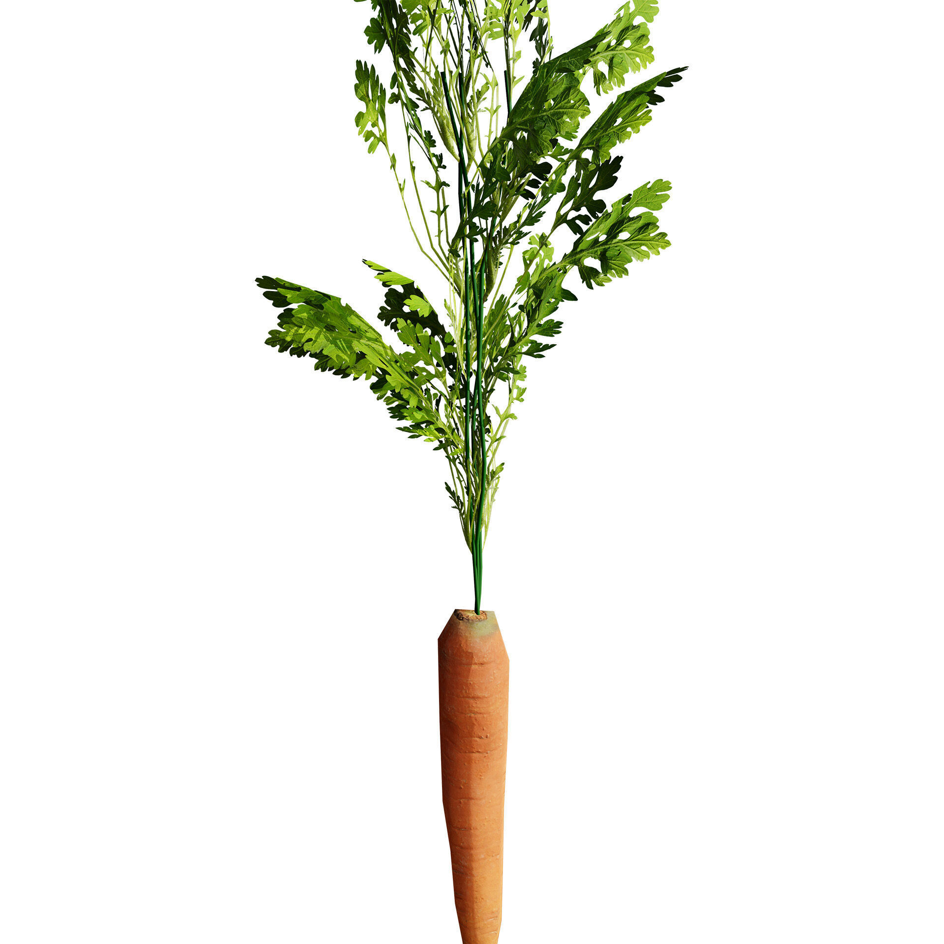 Vegetable Plant 3D Pack Low-poly 3D model_10