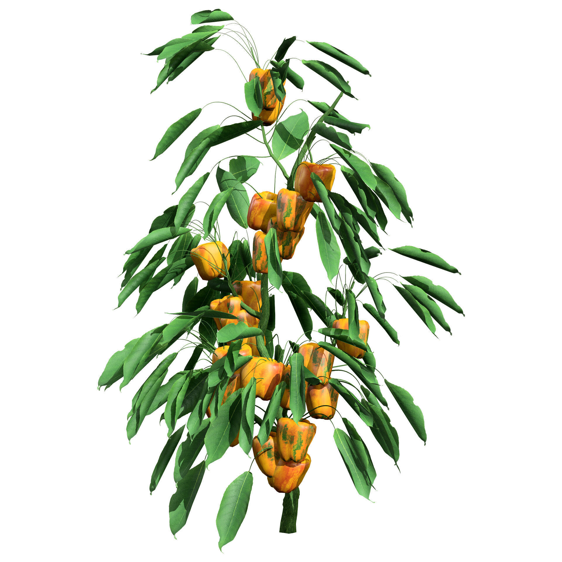 Vegetable Plant 3D Pack Low-poly 3D model_41